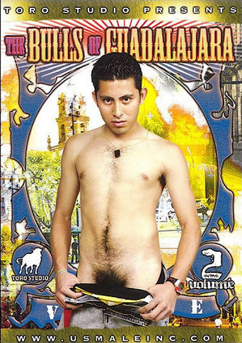 The Bulls of Guadalajara 2 poster