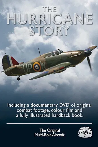 The Hurricane Story poster