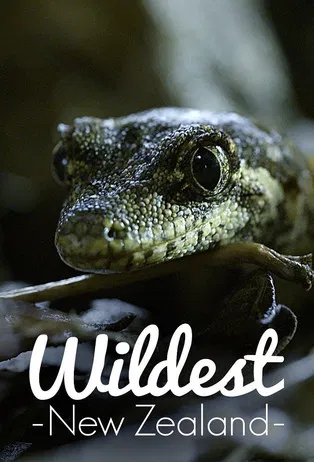 Wildest New Zealand poster