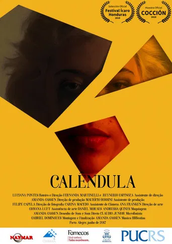 Calêndula poster