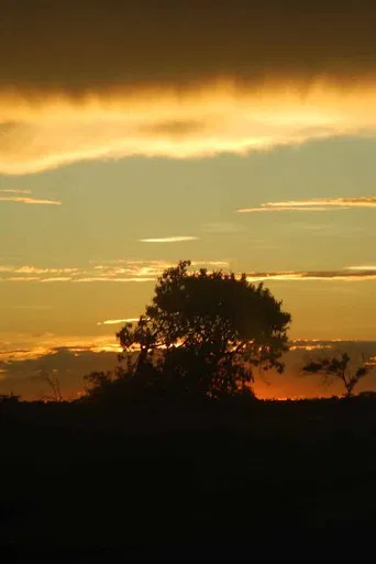 Yvy Pyte - Coração da Terra (Guaiviry) poster