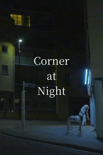 Corner at Night poster