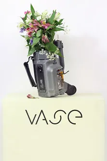 Vase poster