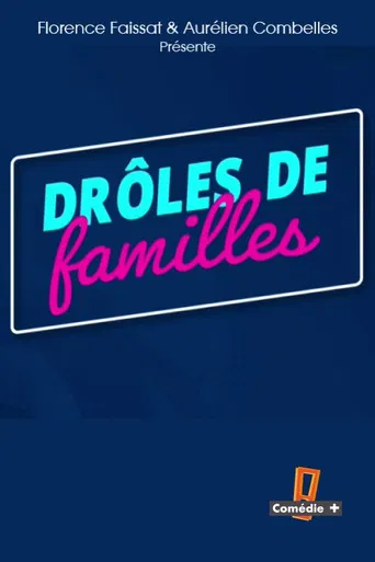 Drôles de familles poster