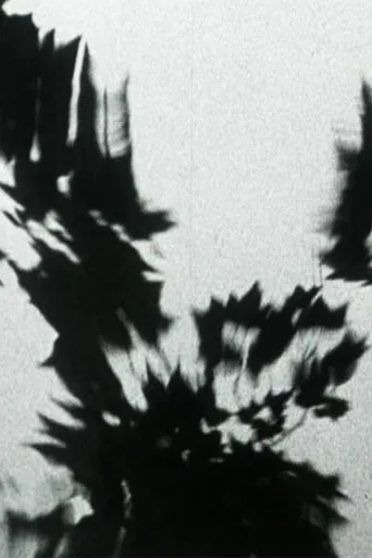 Sheller Shares Her Secret poster