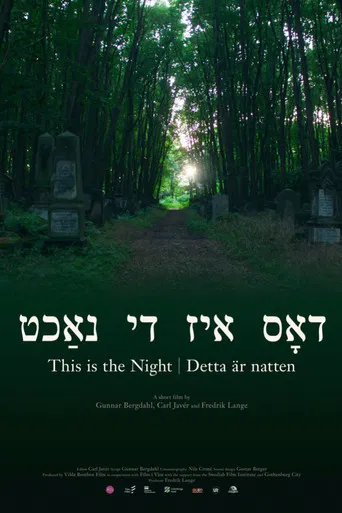 This Is the Night poster