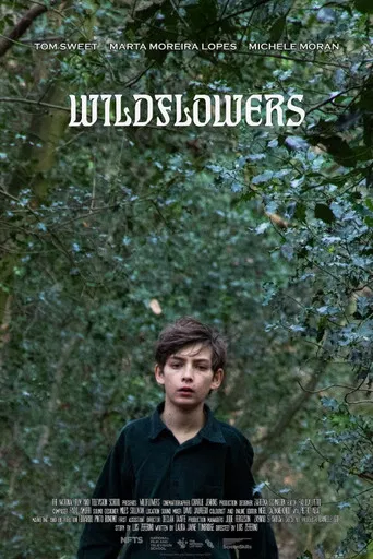 Wildflowers poster