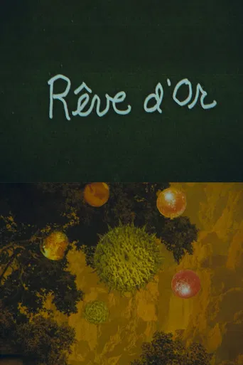 Reve d'Or poster