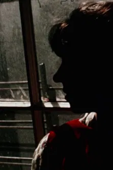 Nightspring Daystar poster