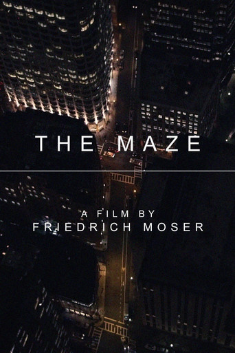 The Maze poster