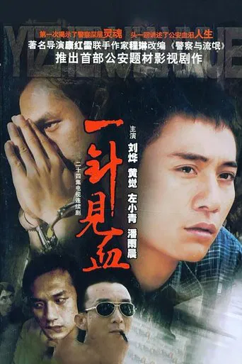 一针见血 poster