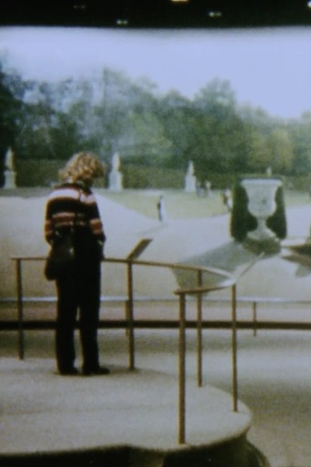 The Odyssey of Panoramas poster