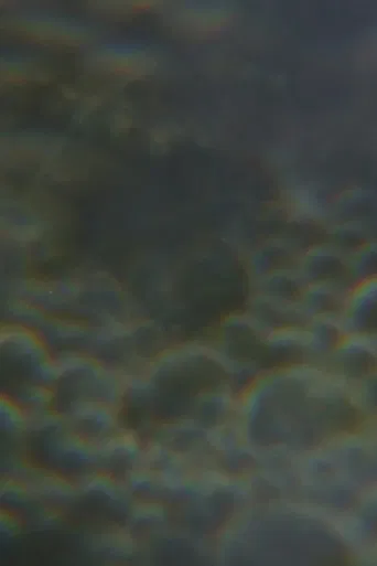 The Nursery of Worlds poster