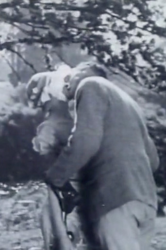 Hamilton Talks poster