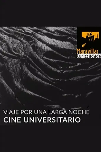 Viaje por una larga noche poster