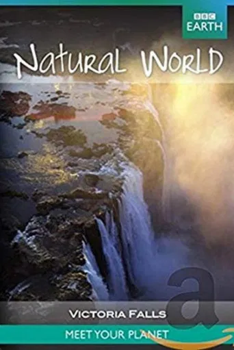 Victoria Falls: The Smoke That Thunders poster