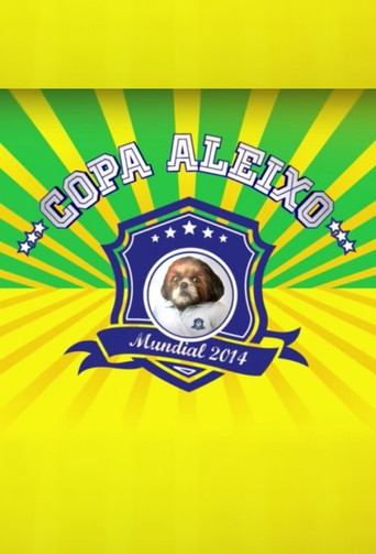 Copa Aleixo 2014 poster