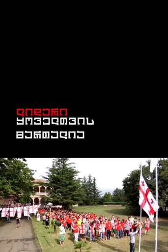 The Leader is Always Right poster