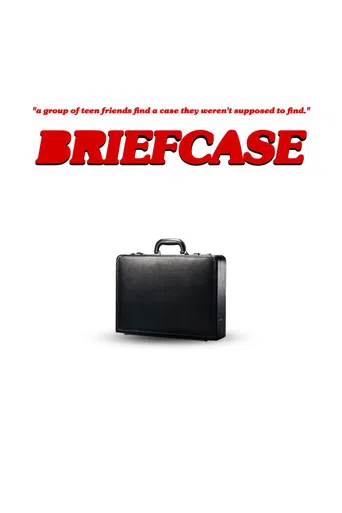 Briefcase poster