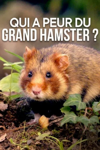 Qui a peur du grand hamster ? poster