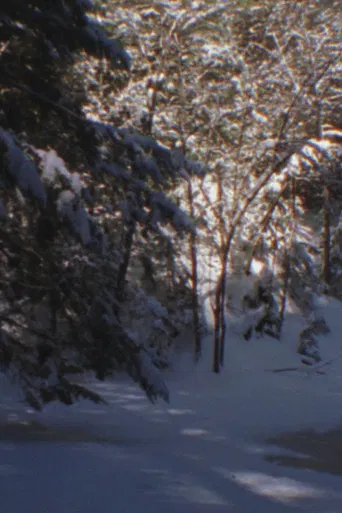 Winter Beyond Winter poster