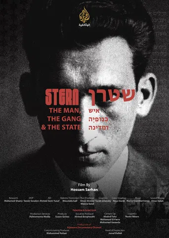 Stern: The man, The gang, and The State poster
