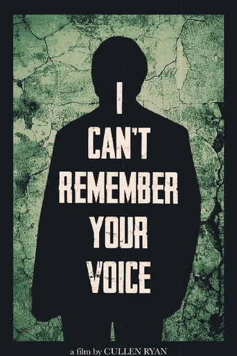 I Can’t Remember Your Voice poster