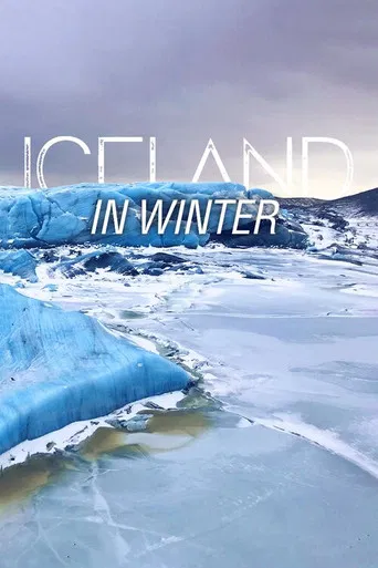 Iceland in Winter poster