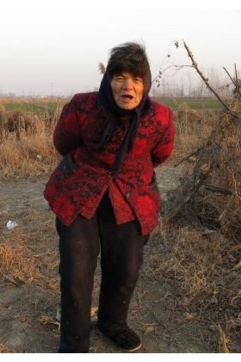 Foolish Village poster