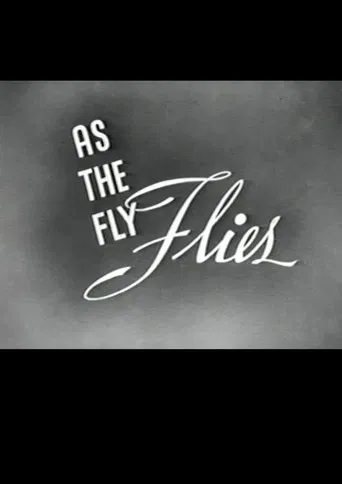 As the Fly Flies poster
