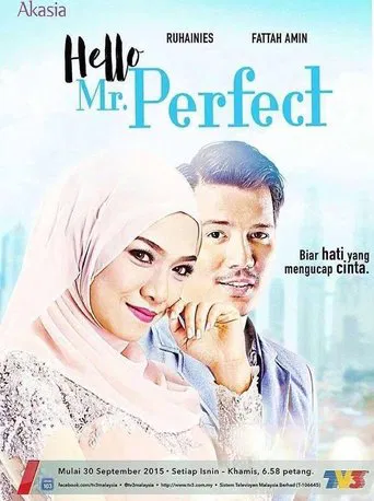 Hello, Mr. Perfect! poster