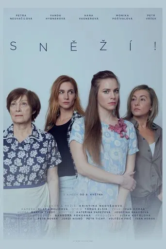 Sněží! poster
