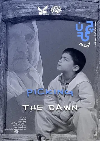 Picking the Dawn poster