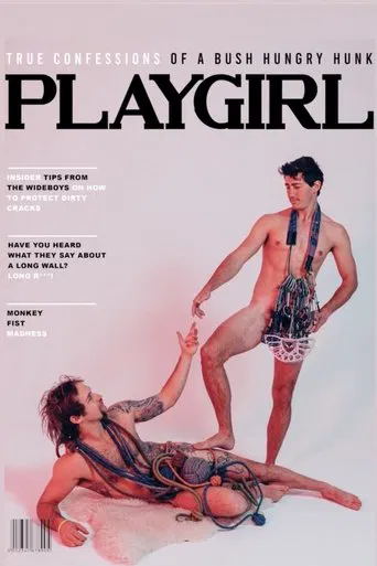 The Long Wall poster