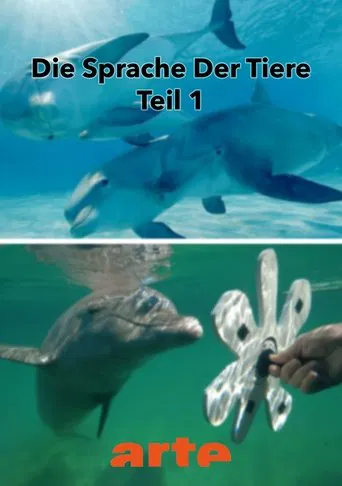 Die Eloquenz der Tiere (1/2) poster