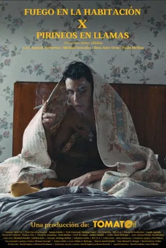 Fuego en la habitación poster