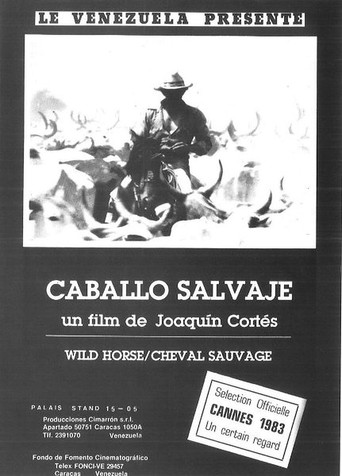Caballo salvaje poster