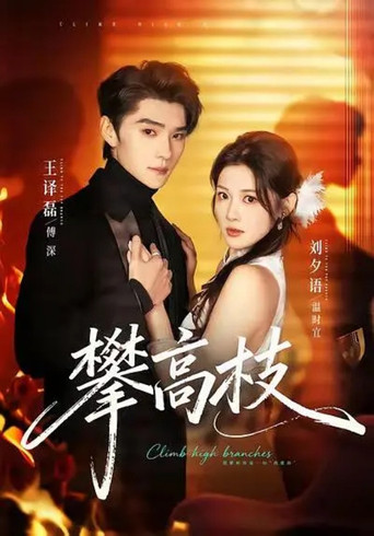 攀高枝 poster