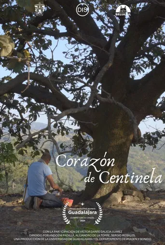 Corazón de centinela poster