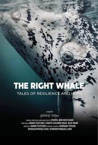 The Right Whale poster