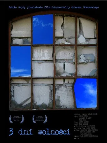 Three Days of Freedom poster