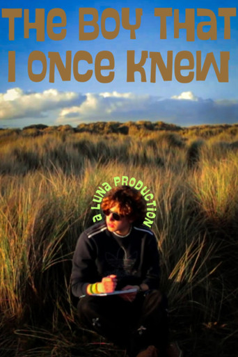 The Boy that I once knew poster