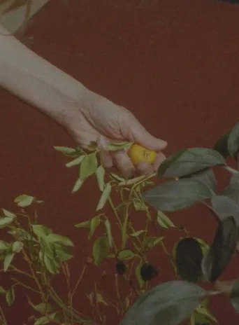 Barefoot Birthdays on Unbreakable Glass poster