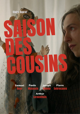 La Saison des Cousins poster