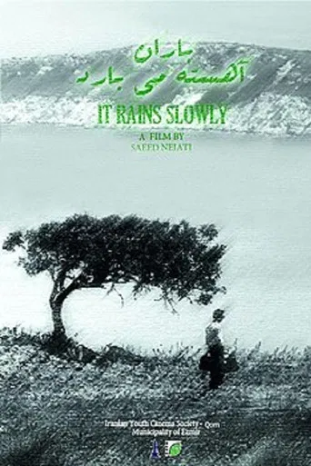It Rains Slowly poster