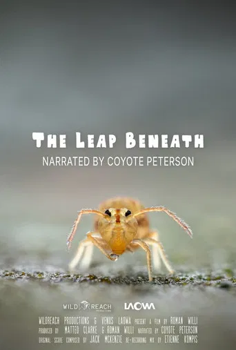 The Leap Beneath poster