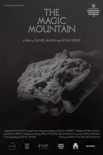 The Magic Mountain poster