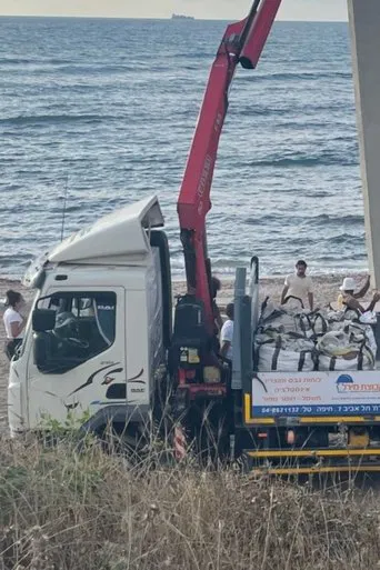 From Palestine with Love (Postcard from the Future) poster