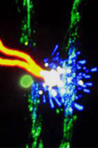 The Element of Light poster