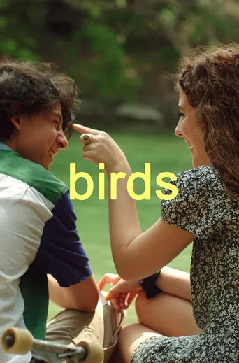 Birds poster